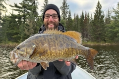Abundance of Smallmouth Bass Photo
