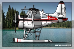 BEAVER-C-GEBL