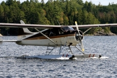 Image-2