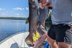 Boatside Double Trout Lift in Bright Sun