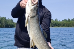 Fly in Angler Holding Tall Lake Trout