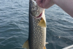 Hand-Held Lake Trout Beside Choppy Water