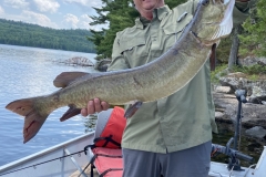 Rock Shoreline Muskie Catch at Midday