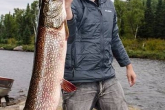 Trophy Northern Pike Held on Rocky Shore