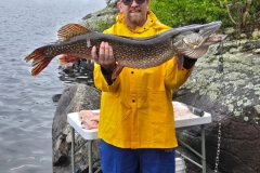 Trophy Northern Pike on Shoreline Rocks