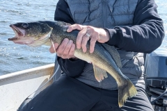big-thick-walleye-caught-on-loonhaunt-lake-june-2026