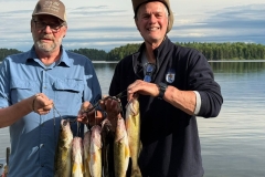 fly-in-fishing-walleye-stringer-loonhaunt-lake-june-2026
