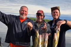 stringer-of-fresh-walleye-loonhaunt-lake-june-2026