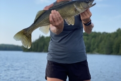 Summer Walleye Catch on Calm Northern Wilderness Lake
