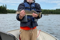 walleye-catching-fly-in-fishing-trip-loonhaunt-lake-june-2026