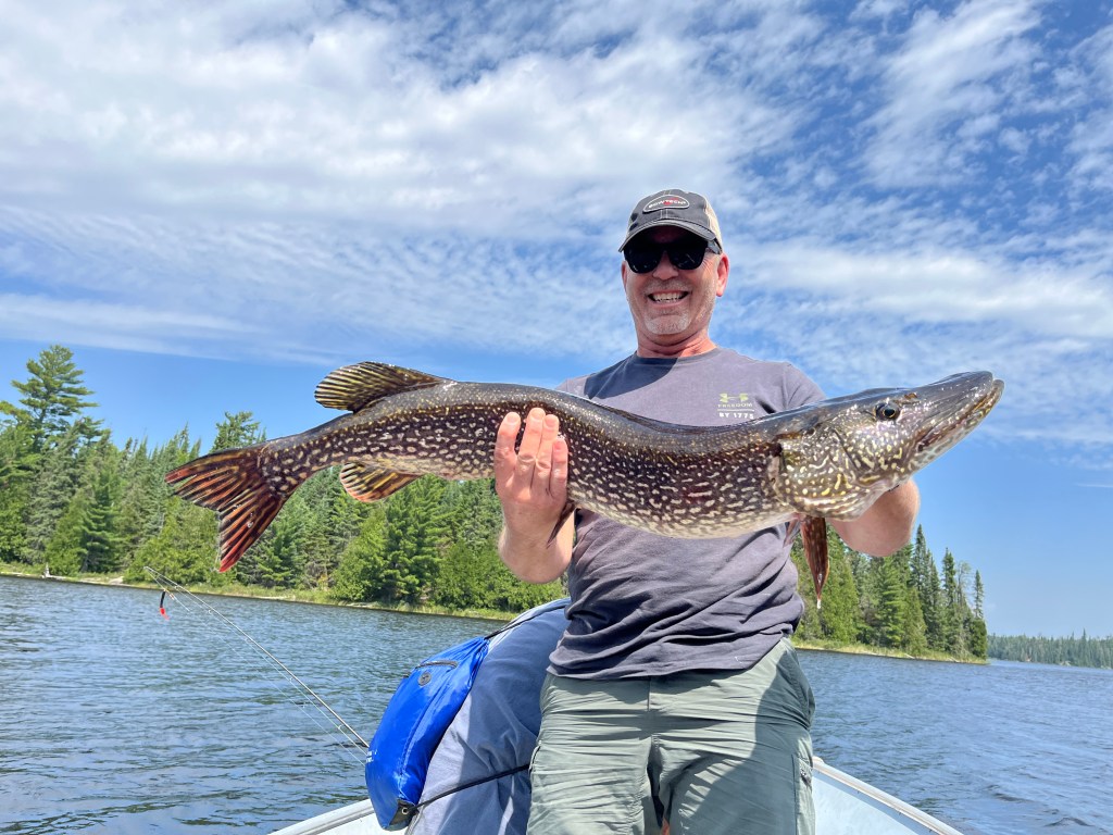 Northern Pike