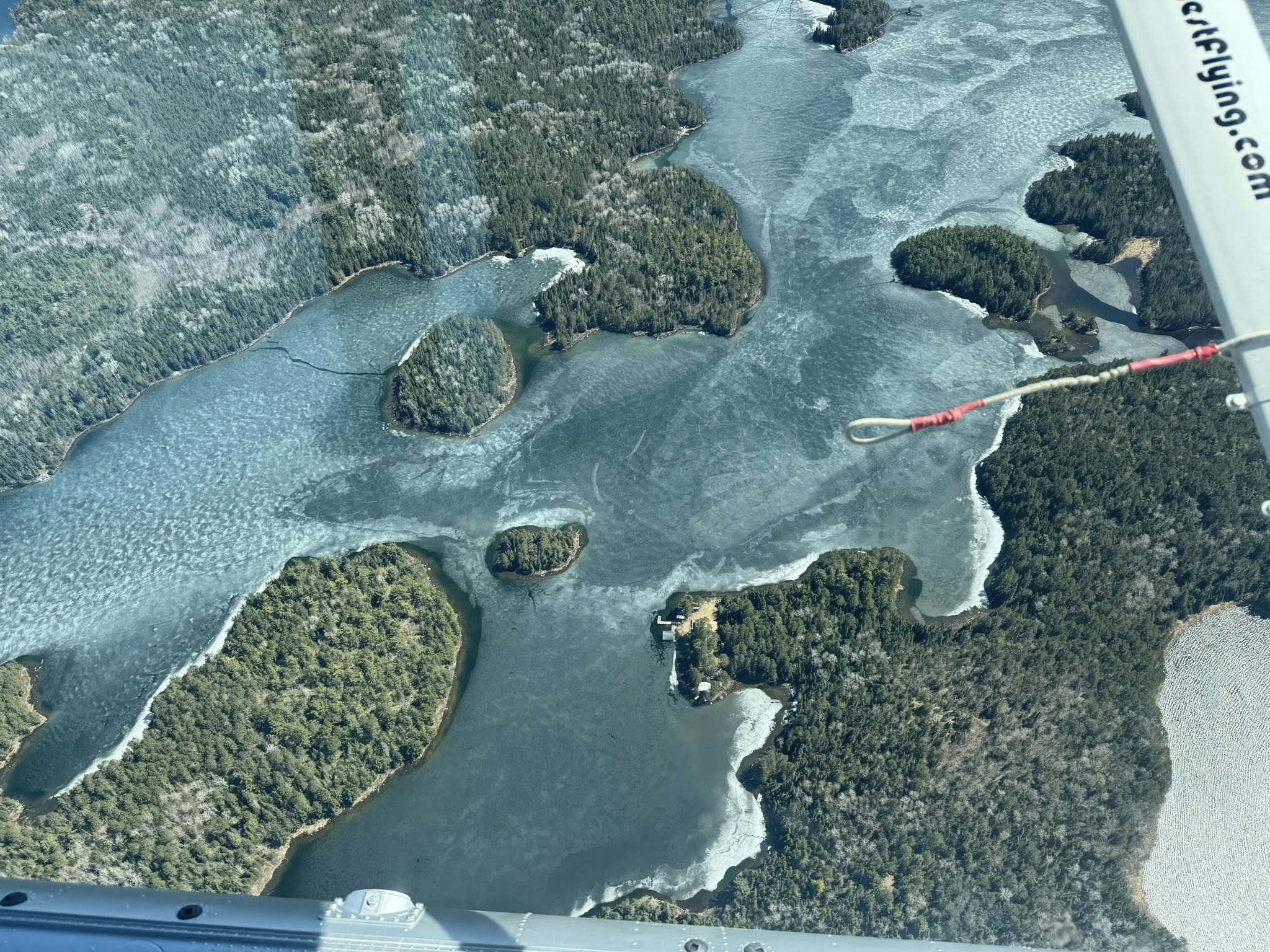 Seasonal Walleye Patterns: From Ice-Out to Fall