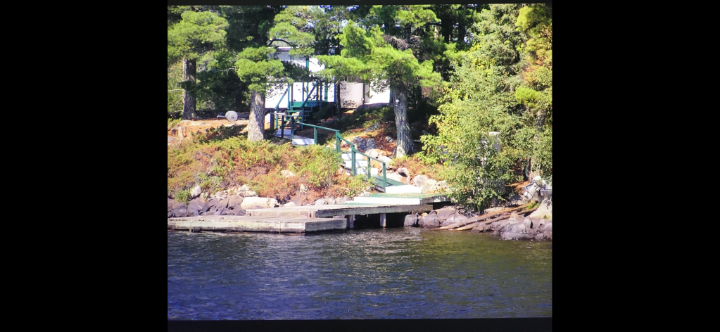 A scenic view of a wooden dock leading to water, surrounded by lush greenery and trees.