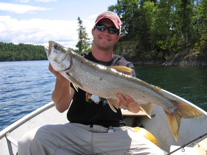 Lake Trout Lifted Toward Sunlit Shoreline